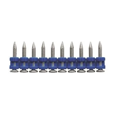 2026_06_10_217503