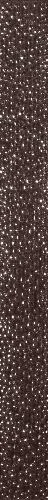 2026_06_11_356176